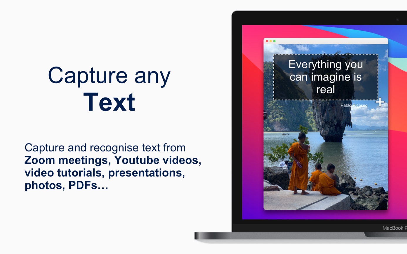 Select the passage you need in text capture mode, then paste the recognized words into your document.